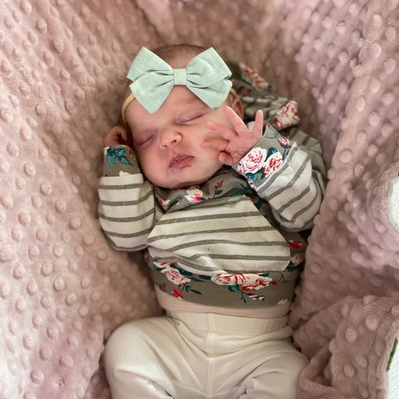 Meet your Posher, Brady - Picture 1 of 1